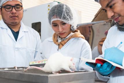 Farmacia y Bioquímica