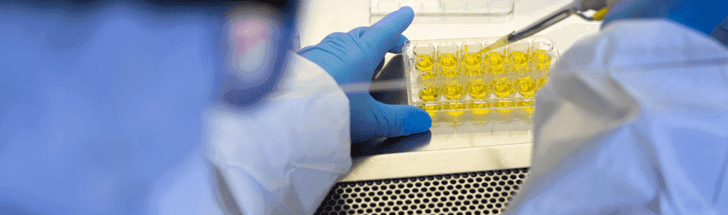 Maestría en Toxicología